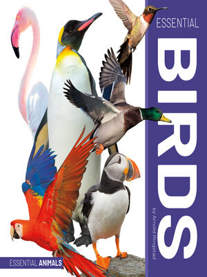 cover image of Essential Birds
